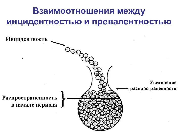 Взаимоотношения между инцидентностью и превалентностью Инцидентность Распространенность в начале периода Увеличение распространенности