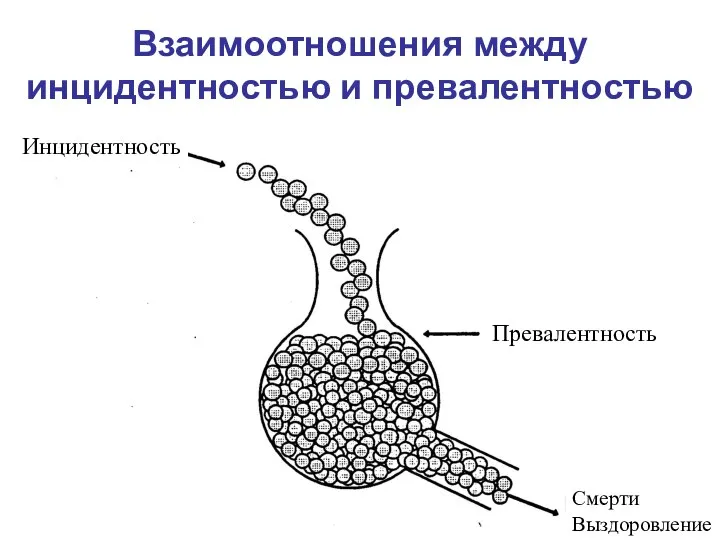 Взаимоотношения между инцидентностью и превалентностью Инцидентность Превалентность Смерти Выздоровление