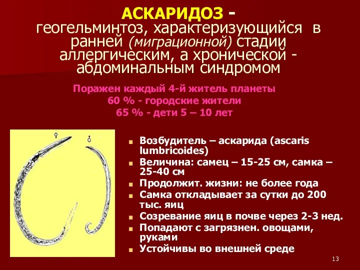 АСКАРИДОЗ - геогельминтоз, характеризующийся в ранней (миграционной) стадии аллергическим, а хронической