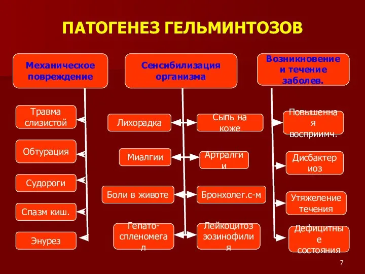 Механическое повреждение Сенсибилизация организма ПАТОГЕНЕЗ ГЕЛЬМИНТОЗОВ Возникновение и течение заболев. Травма