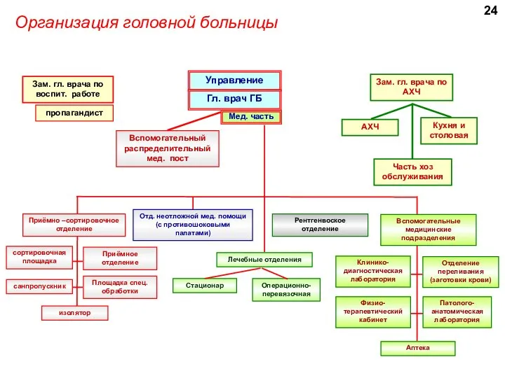 Организация головной больницы