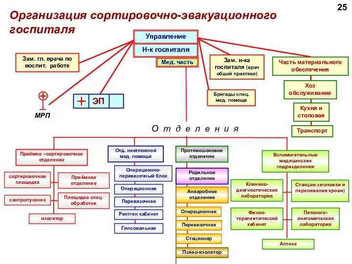 Организация сортировочно-эвакуационного госпиталя