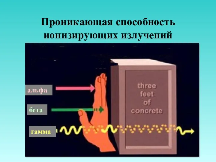 Проникающая способность ионизирующих излучений альфа бета гамма