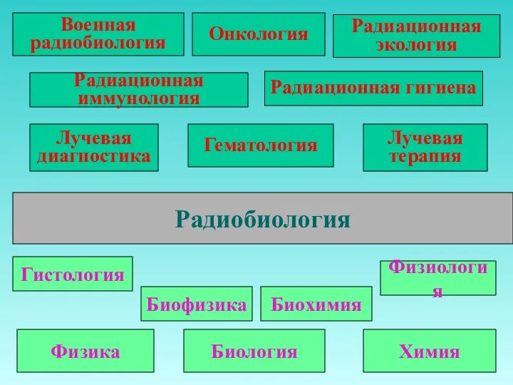 Радиобиология Физика Химия Биология Биофизика Биохимия Гистология Физиология Военная радиобиология Радиационная