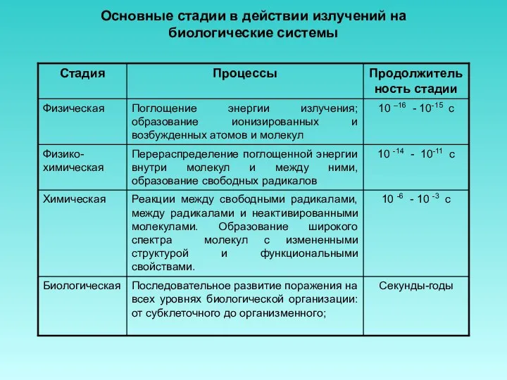 Основные стадии в действии излучений на биологические системы