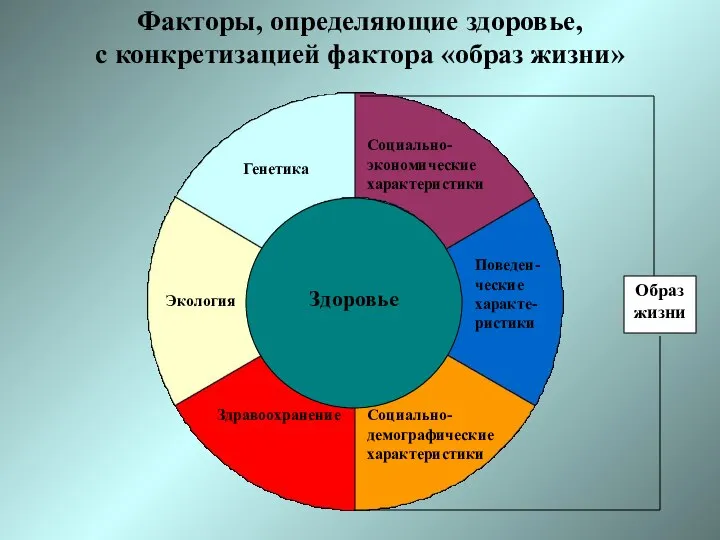 Здоровье Генетика Экология Здравоохранение Социально-экономические характеристики Поведен-ческие характе-ристики Социально-демографические характеристики Факторы,