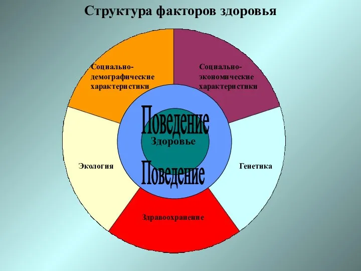 Здоровье Поведение Поведение Здравоохранение Экология Социально-демографические характеристики Социально-экономические характеристики Генетика Структура факторов здоровья