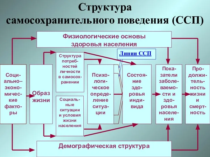 Демографическая структура Соци-ально–эконо-мичес-кие факто-ры Образ жизни Структура потреб-ностей личности в самосох-ранении