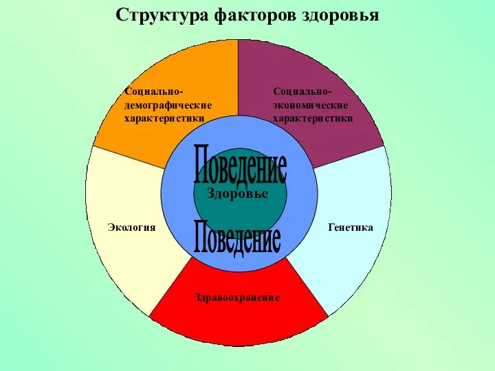 Здоровье Поведение Поведение Здравоохранение Экология Социально-демографические характеристики Социально-экономические характеристики Генетика Структура факторов здоровья