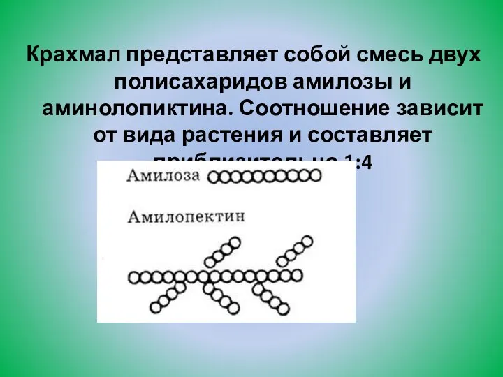 Крахмал представляет собой смесь двух полисахаридов амилозы и аминолопиктина. Соотношение зависит