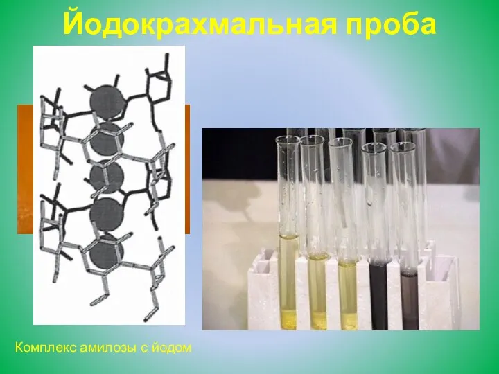 Йодокрахмальная проба Комплекс амилозы с йодом