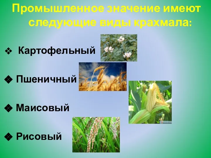 Промышленное значение имеют следующие виды крахмала: Картофельный Пшеничный Маисовый Рисовый