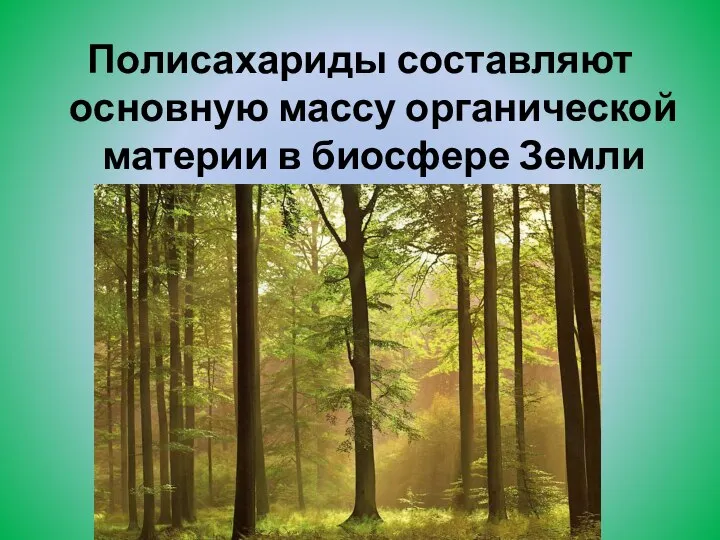 Полисахариды составляют основную массу органической материи в биосфере Земли