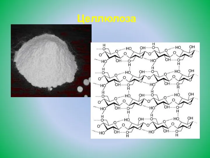 Целлюлоза