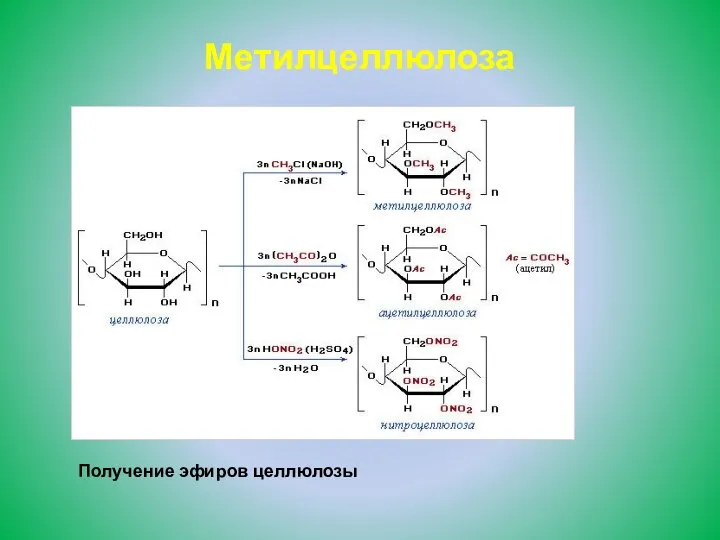 Метилцеллюлоза Получение эфиров целлюлозы