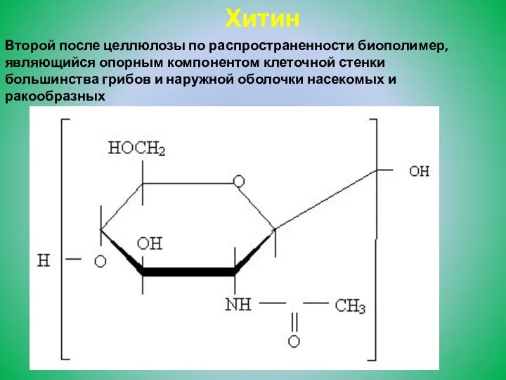 Хитин Второй после целлюлозы по распространенности биополимер, являющийся опорным компонентом клеточной