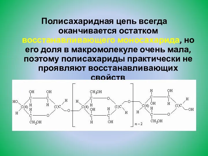 Полисахаридная цепь всегда оканчивается остатком восстанавливающего моносахарида, но его доля в