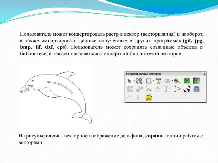 Пользователь может конвертировать растр в вектор (векторизация) и наоборот, а также