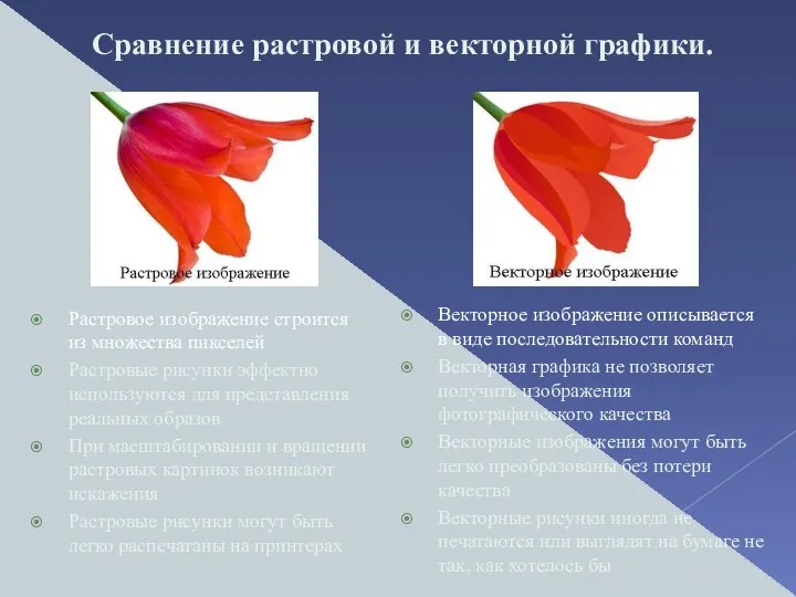 Сравнение растровой и векторной графики. Растровое изображение строится из множества пикселей