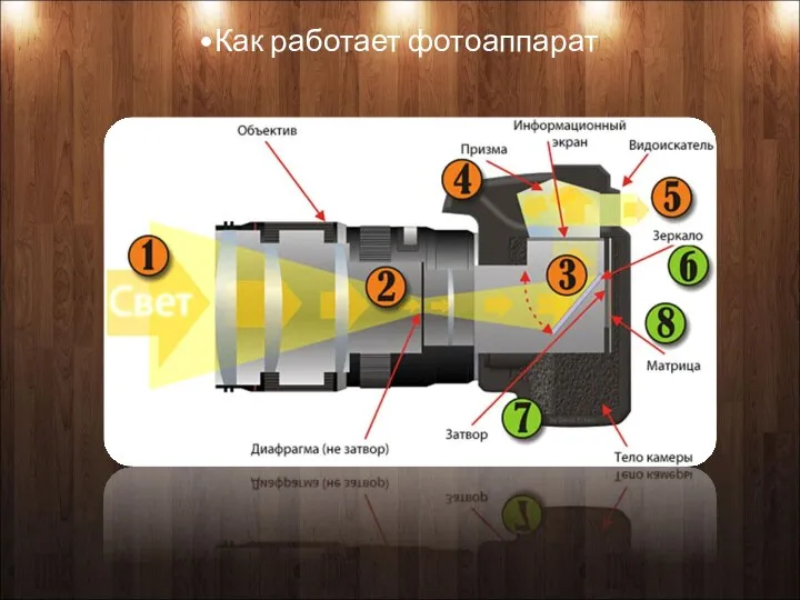 Как работает фотоаппарат