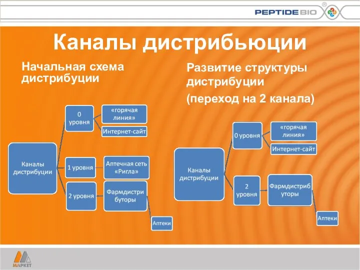 Каналы дистрибьюции Начальная схема дистрибуции Развитие структуры дистрибуции (переход на 2 канала)