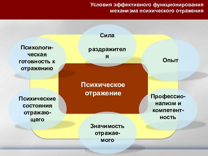 Условия эффективного функционирования механизма психического отражения Психическое отражение Сила раздражителя Психологи-ческая