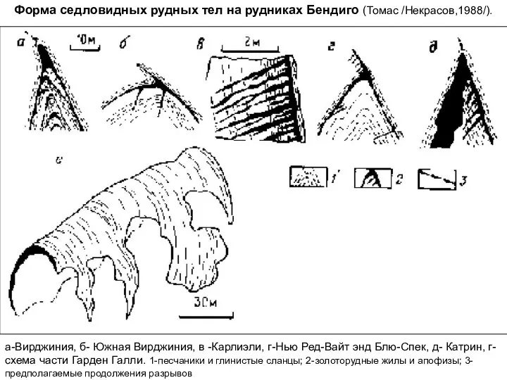 Форма седловидных рудных тел на рудниках Бендиго (Томас /Некрасов,1988/). а-Вирджиния, б-