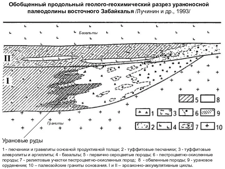 Обобщенный продольный геолого-геохимический разрез ураноносной палеодолины восточного Забайкалья /Лучинин и др.,