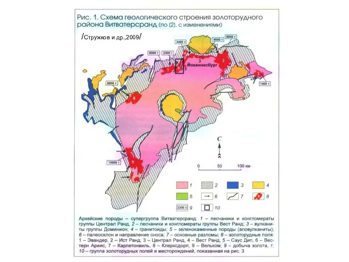 /Стружков и др.,2009/
