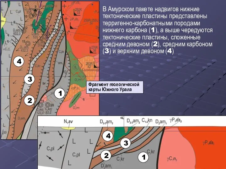 В Амурском пакете надвигов нижние тектонические пластины представлены терригенно-карбонатными породами нижнего