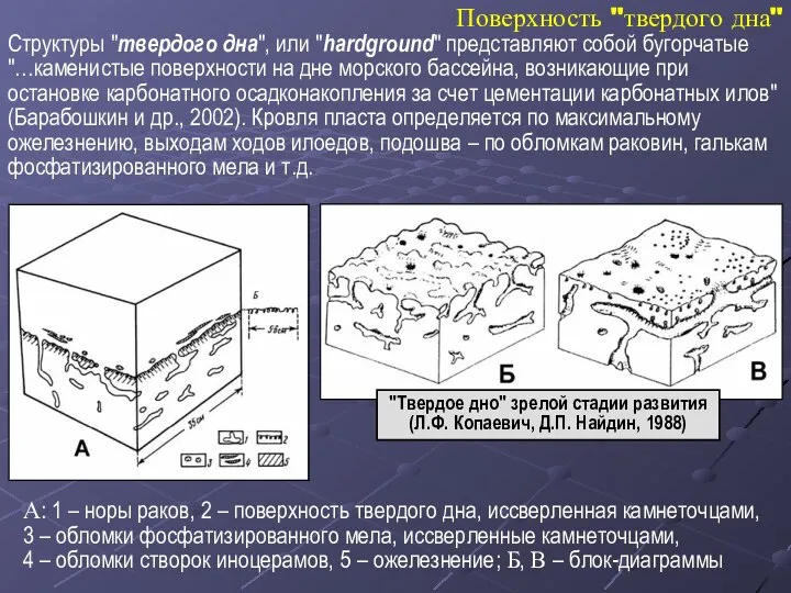 Поверхность "твердого дна" Структуры "твердого дна", или "hardground" представляют собой бугорчатые