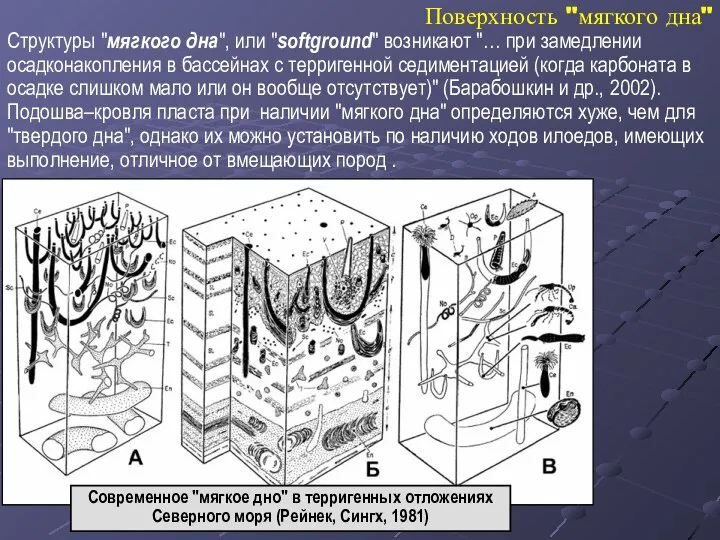 Поверхность "мягкого дна" Структуры "мягкого дна", или "softground" возникают "… при