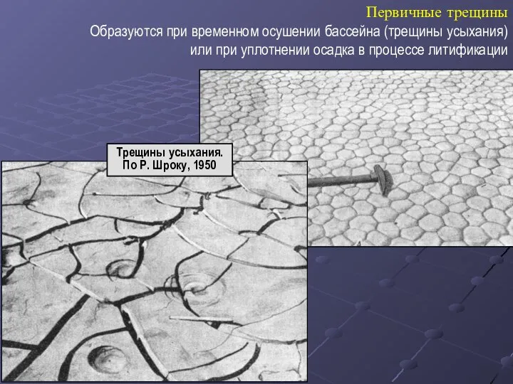 Первичные трещины Образуются при временном осушении бассейна (трещины усыхания) или при