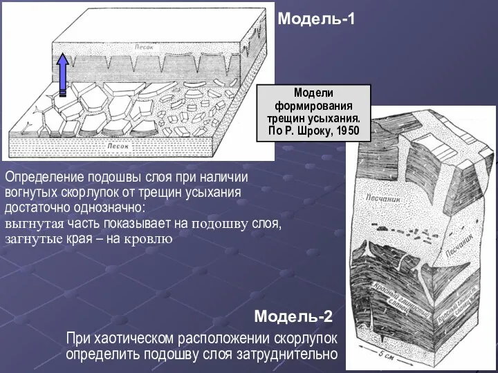 Модель-1 Определение подошвы слоя при наличии вогнутых скорлупок от трещин усыхания