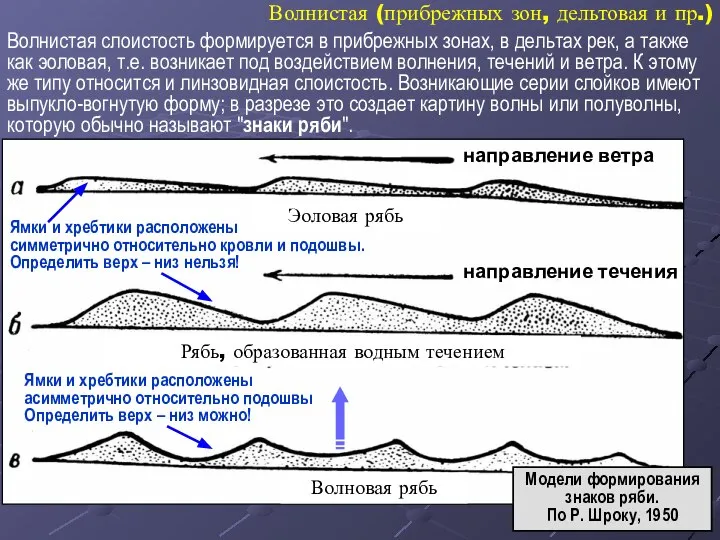 направление ветра направление течения Ямки и хребтики расположены симметрично относительно кровли