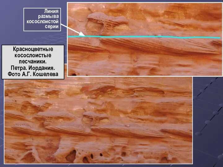 Красноцветные косослоистые песчаники. Петра. Иордания. Фото А.Г. Кошелева Линия размыва косослоистой серии