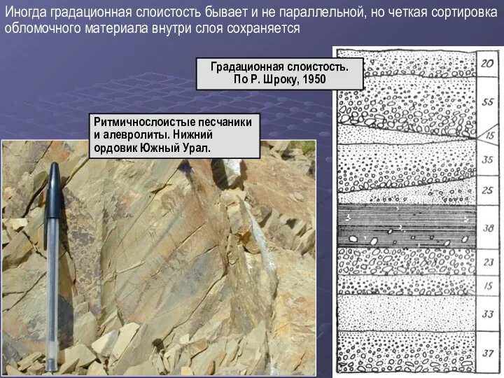 Ритмичнослоистые песчаники и алевролиты. Нижний ордовик Южный Урал. Иногда градационная слоистость