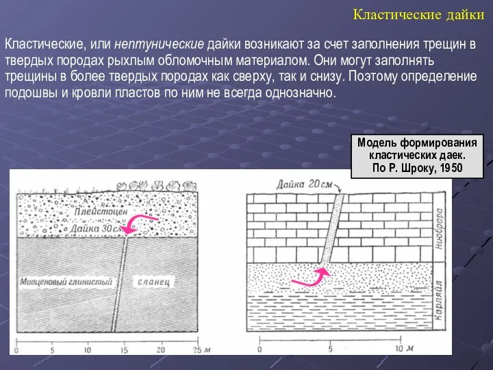 Кластические дайки Кластические, или нептунические дайки возникают за счет заполнения трещин