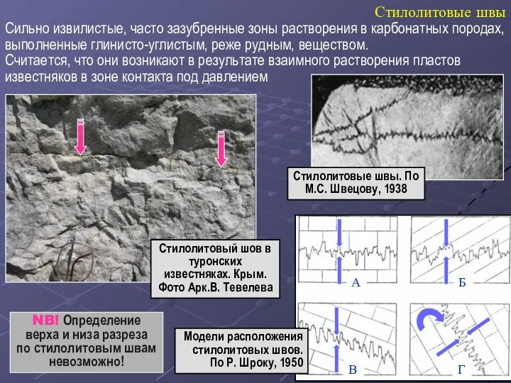 Стилолитовые швы Сильно извилистые, часто зазубренные зоны растворения в карбонатных породах,