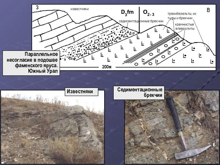 Известняки Седиментационные брекчии Параллельное несогласие в подошве фаменского яруса. Южный Урал