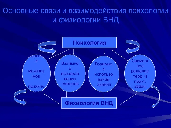 Основные связи и взаимодействия психологии и физиологии ВНД Психология Физиология ВНД