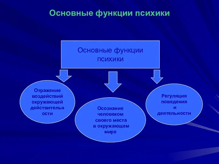 Основные функции психики Основные функции психики Отражение воздействий окружающей действительности Осознание