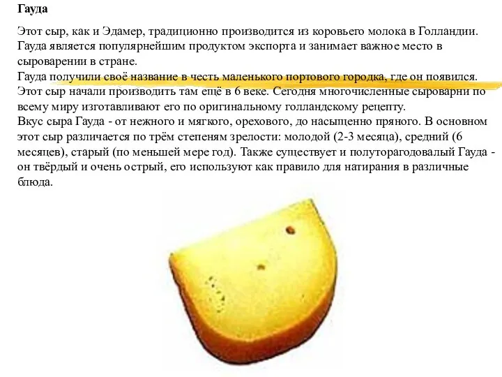 Гауда Этот сыр, как и Эдамер, традиционно производится из коровьего молока