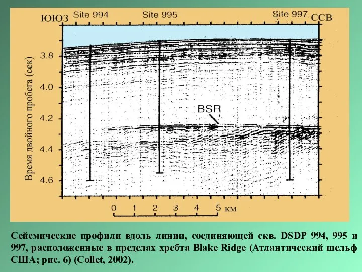 Сейсмические профили вдоль линии, соединяющей скв. DSDP 994, 995 и 997,