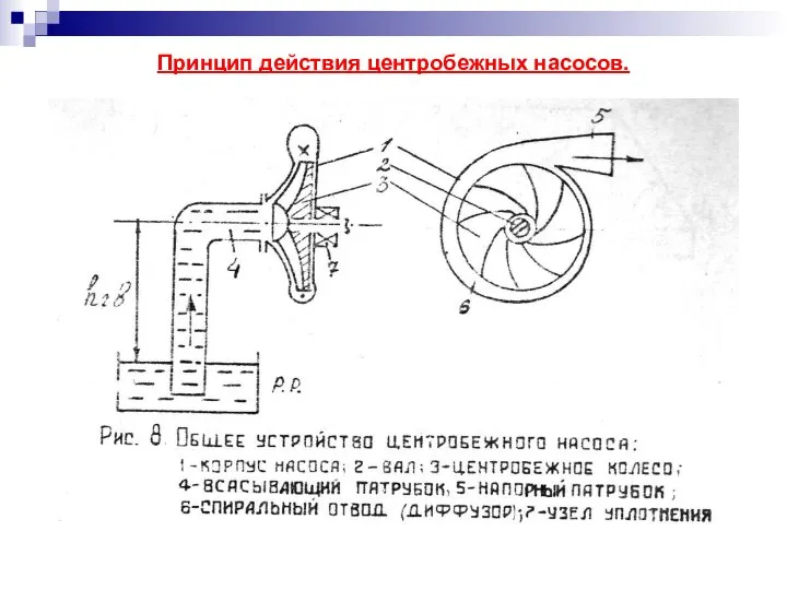 Принцип действия центробежных насосов.