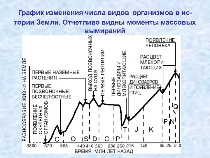 График изменения числа видов организмов в ис- тории Земли. Отчетливо видны моменты массовых вымираний