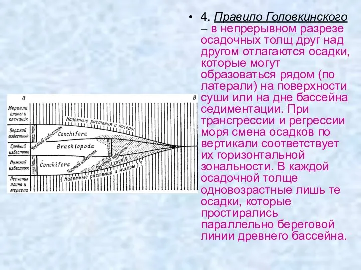 4. Правило Головкинского – в непрерывном разрезе осадочных толщ друг над