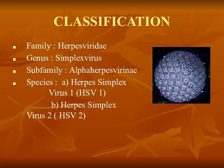 CLASSIFICATION Family : Herpesviridae Genus : Simplexvirus Subfamily : Alphaherpesvirinae Species