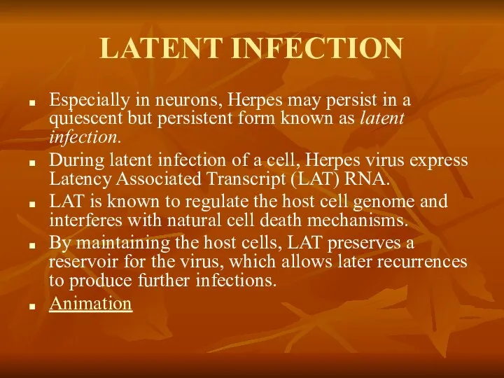 LATENT INFECTION Especially in neurons, Herpes may persist in a quiescent