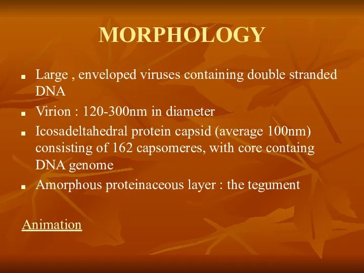 MORPHOLOGY Large , enveloped viruses containing double stranded DNA Virion :